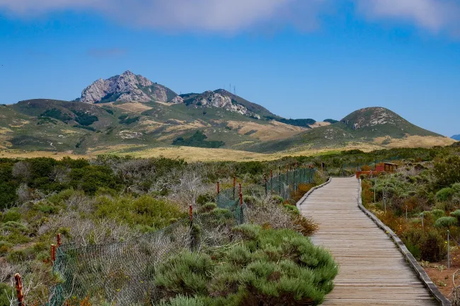 Beach boardwalk path
